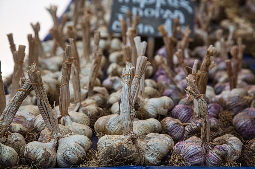 summer village marketplace with garlic in greece 2CBTHZS