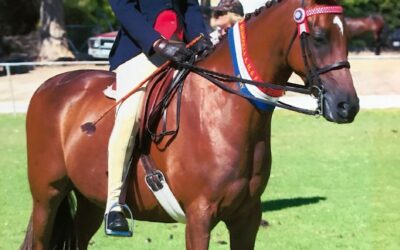 The Secret to Show Horse Success: A Balanced Body and Mind