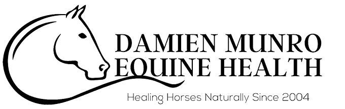 Damien Munro Equine Health